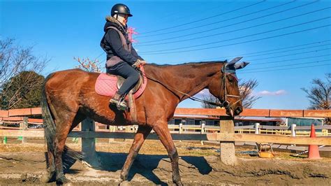 japanese riding porn|japanese.